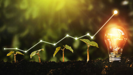 How to Build Business Credit: A Step-by-Step Guide